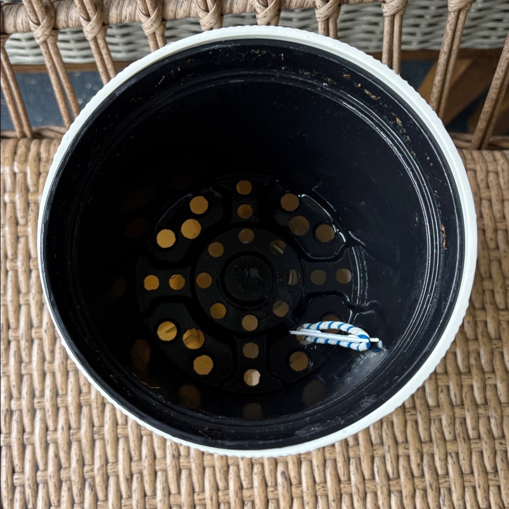 Self watering planter (Plastic) - Picture 2 of 3
